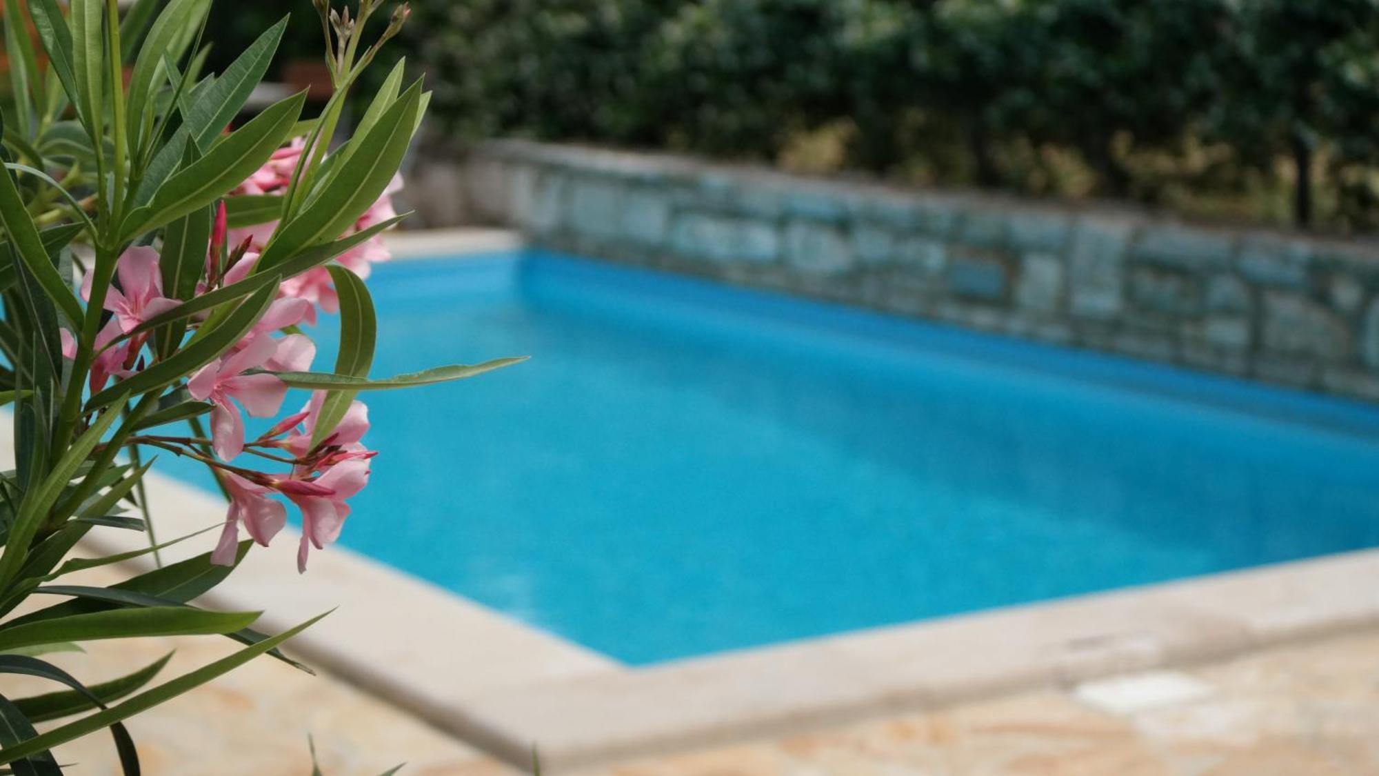 Terra Mirna Villa Vižinada Buitenkant foto