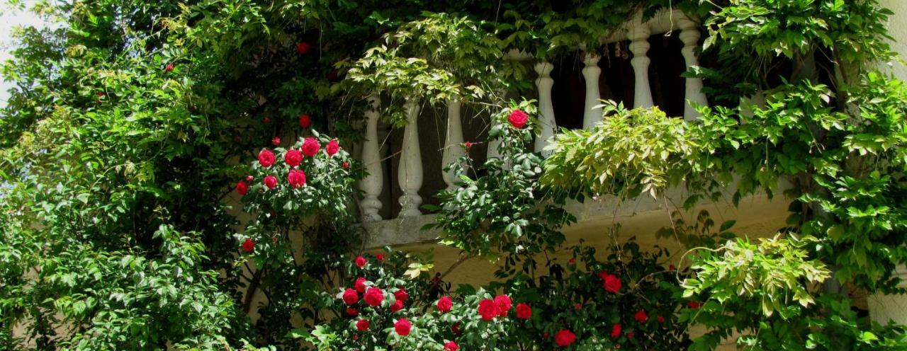Terra Mirna Villa Vižinada Buitenkant foto
